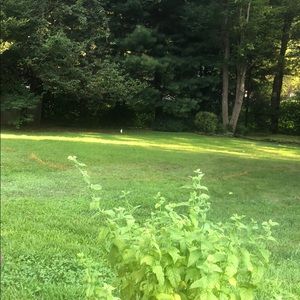 Meet your Posher, Leslie